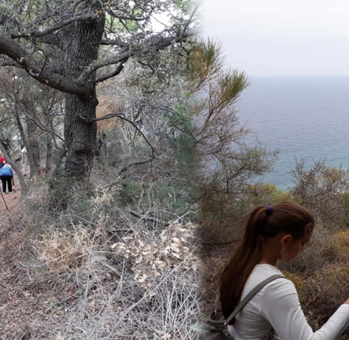 ΜΙΑ ΟΜΟΡΦΗ ΚΥΡΙΑΚΗ ΣΤΗΝ ...ΑΜΑΝΗ!!!